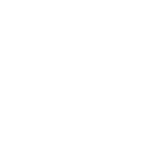 Facebook white icon