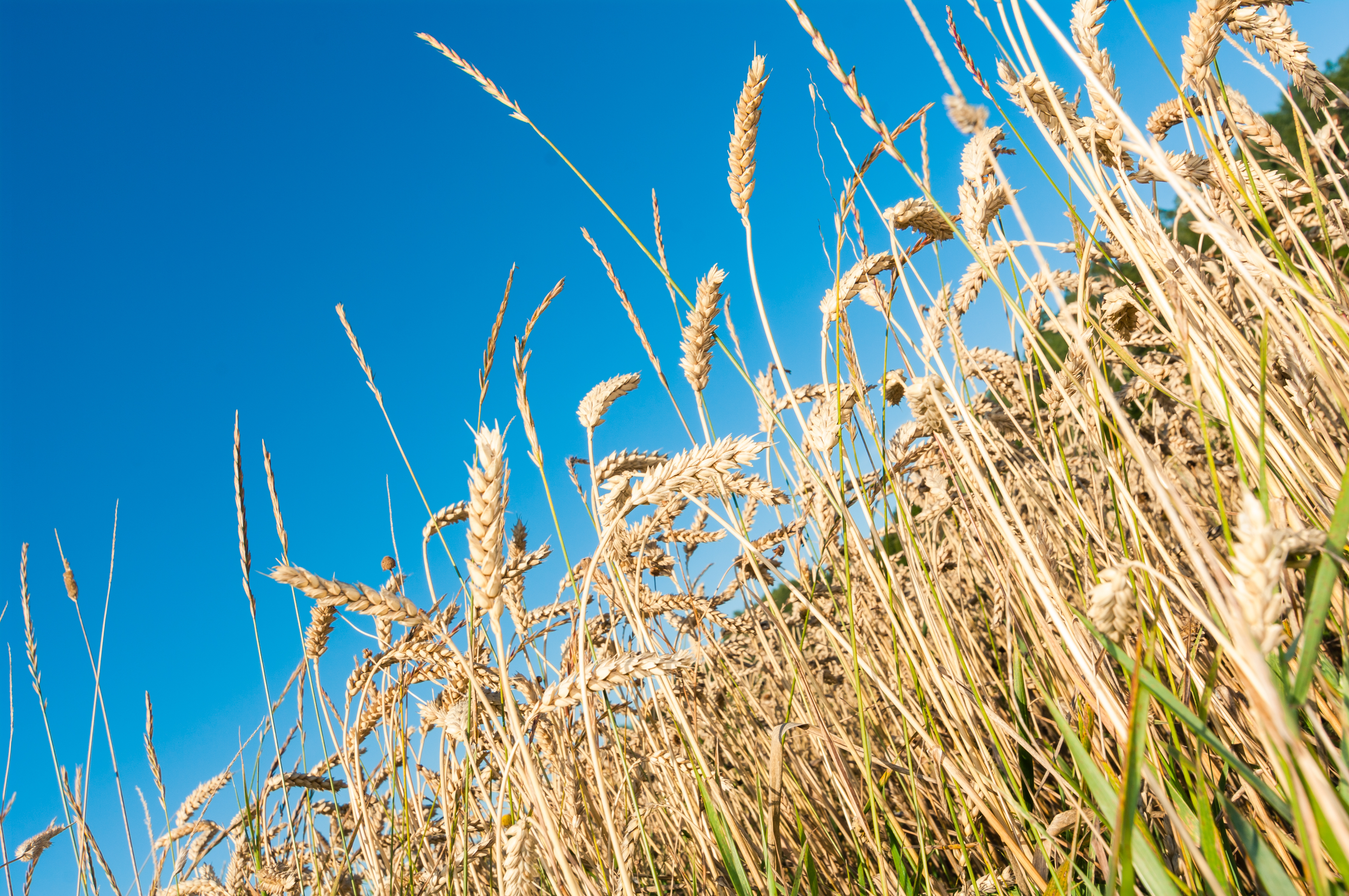 Adobestock 187861104