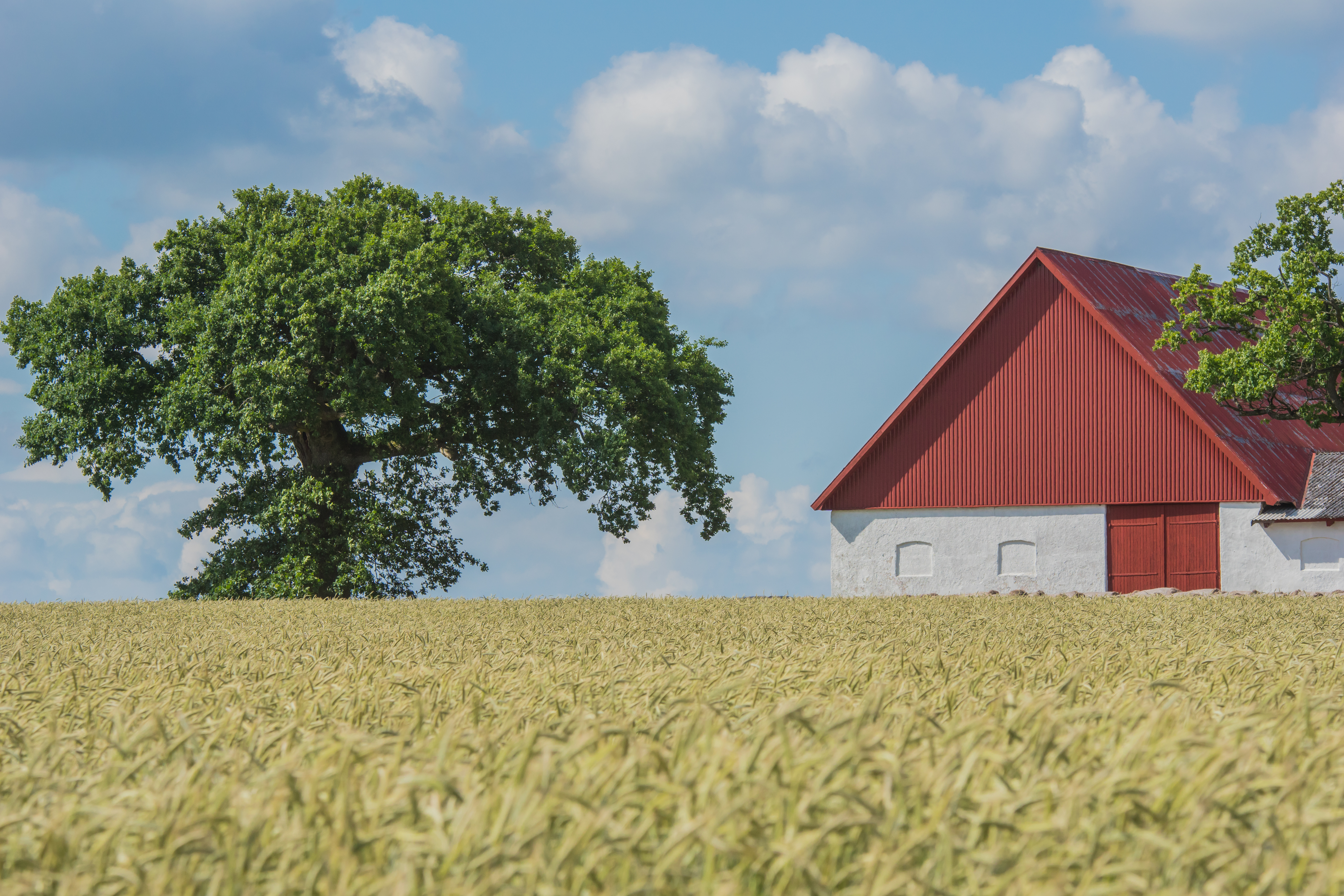 Adobestock 124993288
