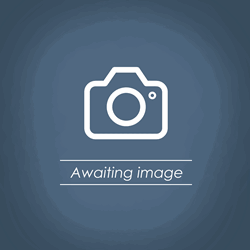 Microsoftteams Image (10)