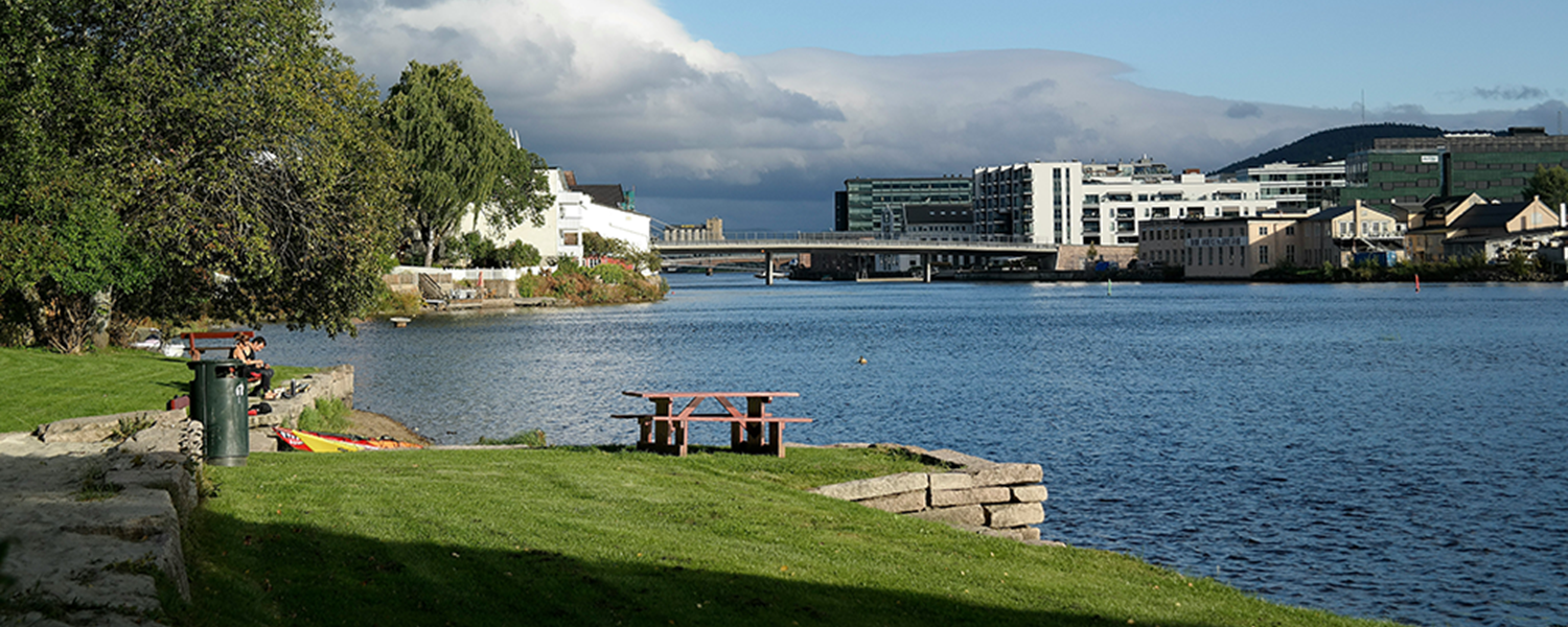 Magne Roed Td C2eqrtmu Unsplash