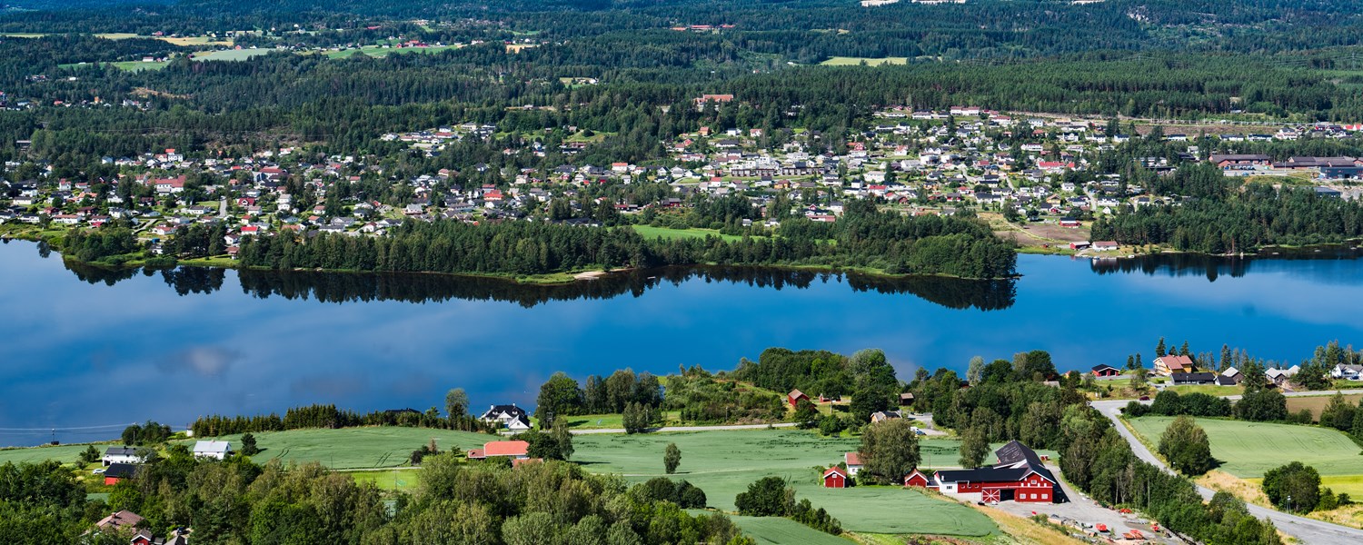 Vikersund (Buskerud)1