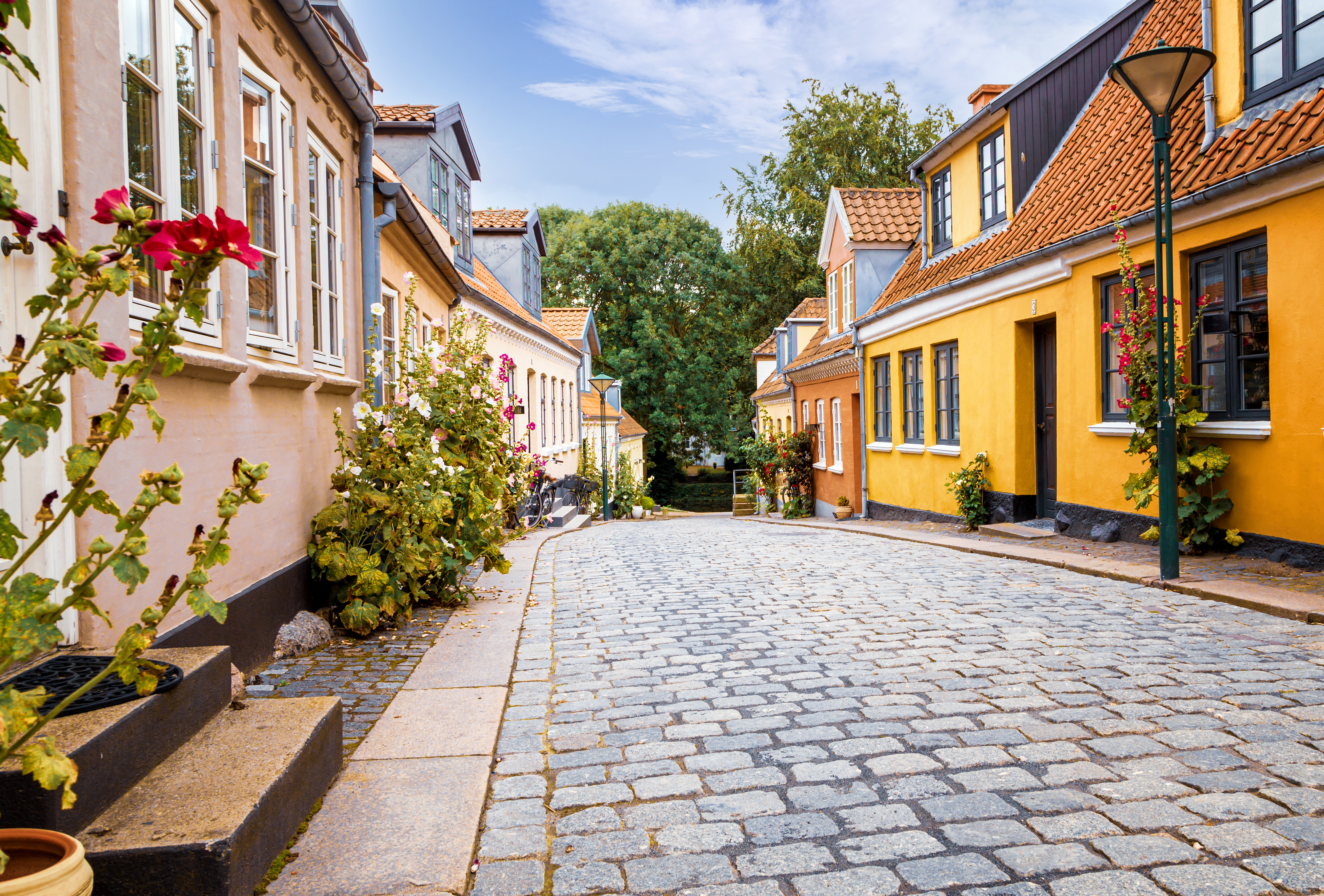 Odense1