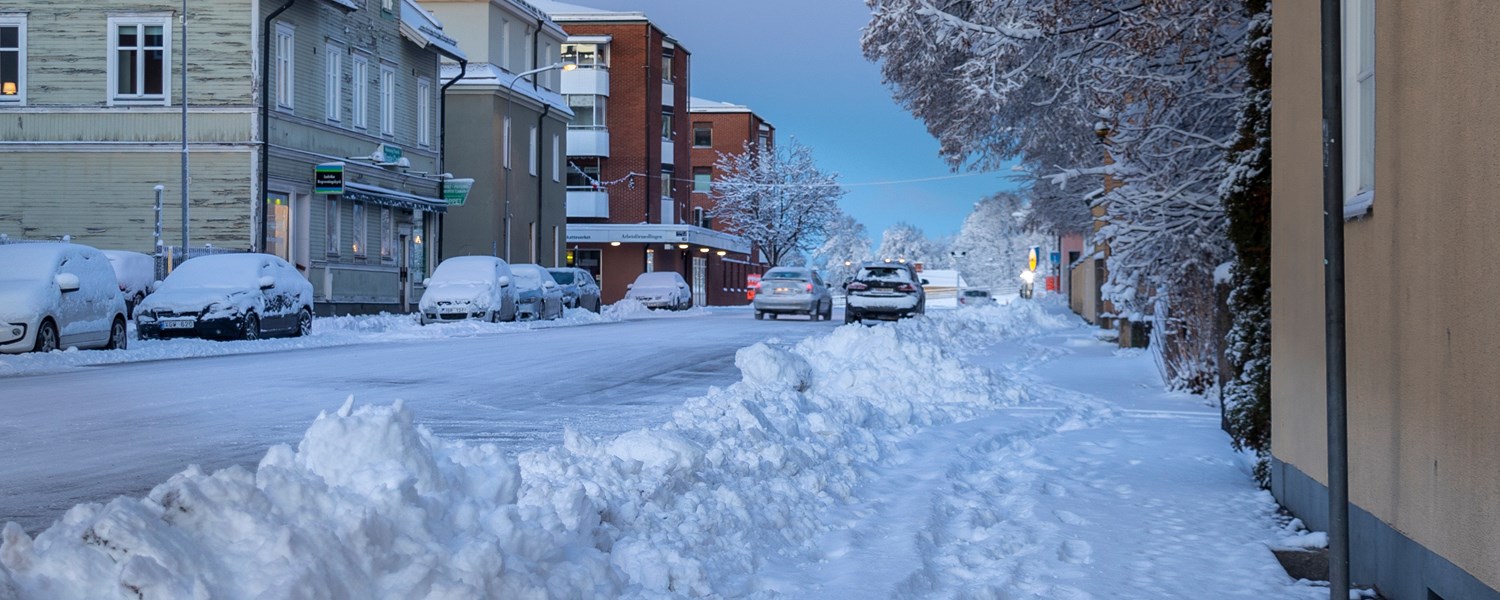 Ludvika3