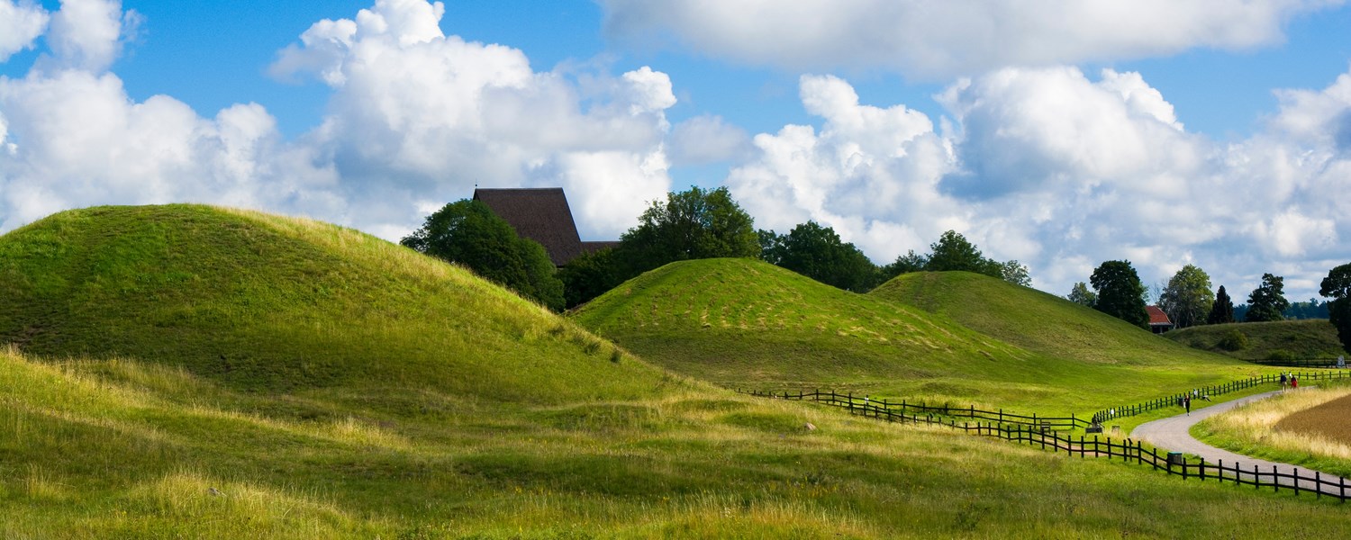 Adobestock 676935204 (1)