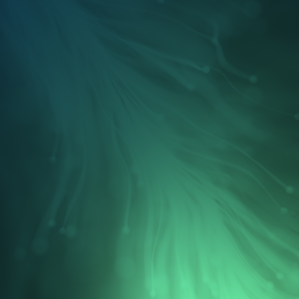 IT-support